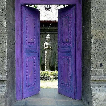 Villa Viola Ubud Exterior foto